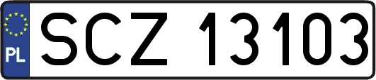 SCZ13103