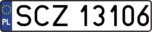 SCZ13106