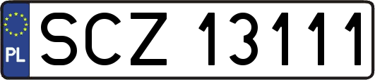SCZ13111