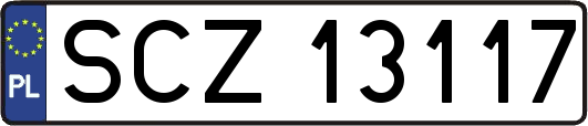 SCZ13117