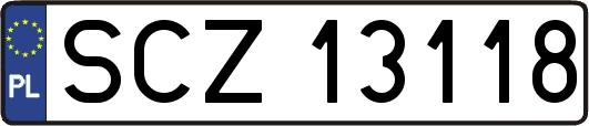 SCZ13118