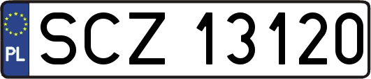 SCZ13120