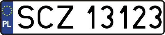 SCZ13123