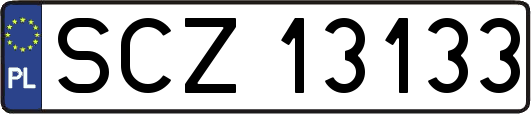 SCZ13133