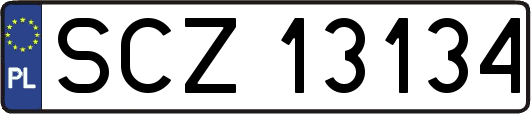 SCZ13134