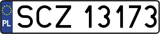 SCZ13173