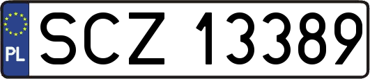 SCZ13389