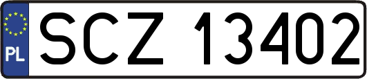 SCZ13402