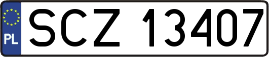 SCZ13407