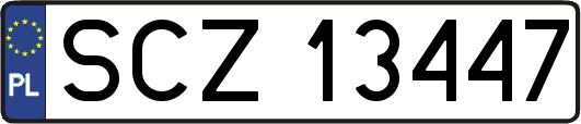 SCZ13447