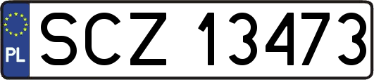 SCZ13473