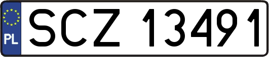 SCZ13491