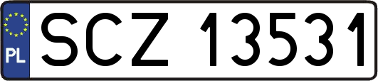 SCZ13531