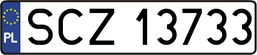 SCZ13733