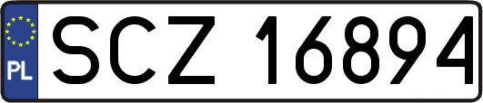 SCZ16894