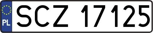SCZ17125