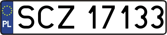 SCZ17133