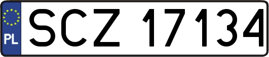 SCZ17134