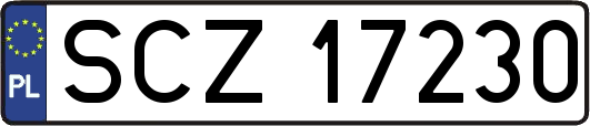 SCZ17230