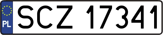 SCZ17341
