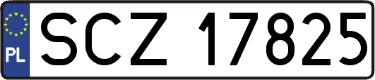 SCZ17825
