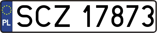 SCZ17873