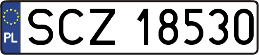 SCZ18530