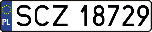 SCZ18729