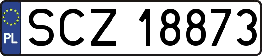 SCZ18873