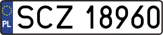 SCZ18960