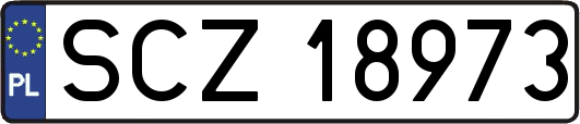 SCZ18973
