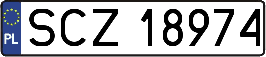 SCZ18974