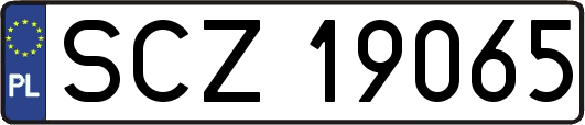 SCZ19065
