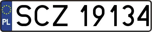 SCZ19134