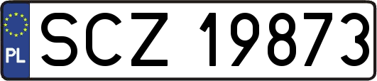 SCZ19873