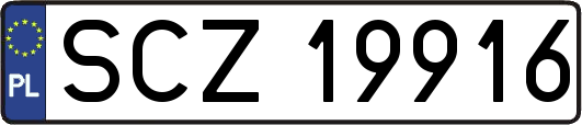 SCZ19916