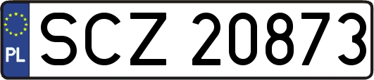 SCZ20873