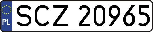 SCZ20965