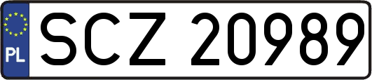 SCZ20989