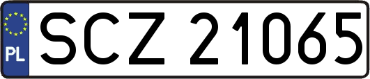 SCZ21065