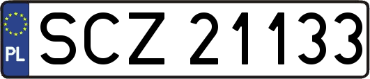 SCZ21133