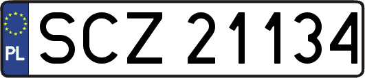 SCZ21134