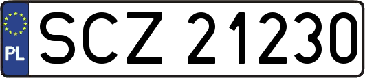SCZ21230