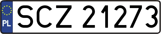 SCZ21273
