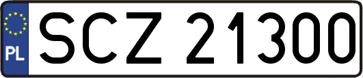SCZ21300