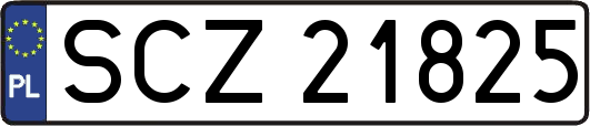 SCZ21825