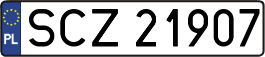 SCZ21907