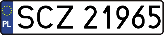 SCZ21965