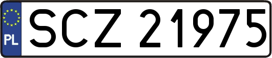 SCZ21975
