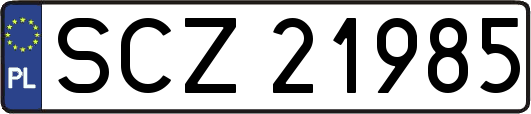 SCZ21985